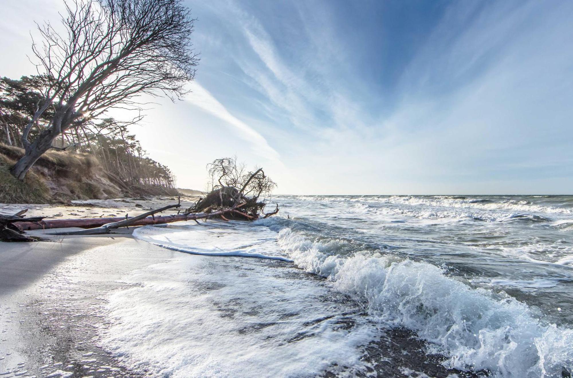 Seehund An Der Seebruecke Zingst Exterior foto